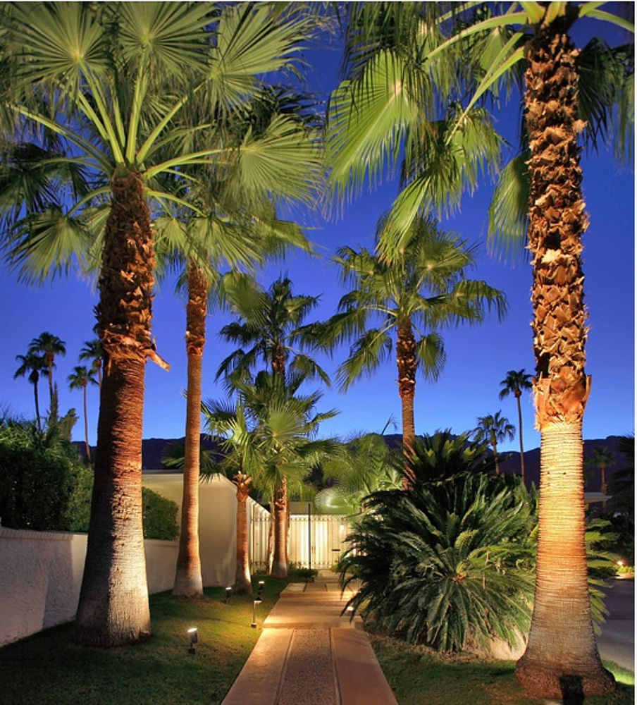 spot piquet 10W bass luminance